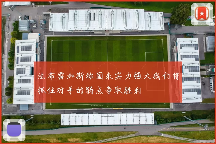 法布雷加斯称国米实力强大我们将抓住对手的弱点争取胜利