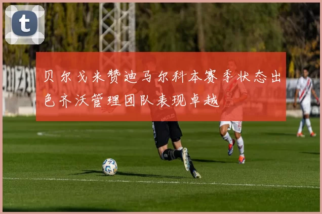 贝尔戈米赞迪马尔科本赛季状态出色齐沃管理团队表现卓越