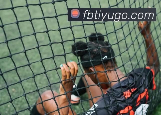 FB体育平台生态图